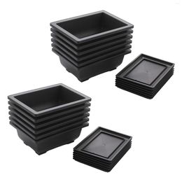 Decorative Flowers 12-Piece Bonsai Pots-Classic Deep Wet Tray With Built-In Mesh-For Plants Herbs Plastic Square Pots