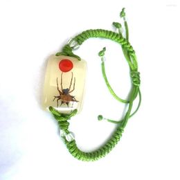 Strand 12 Pcs Real Red Bean Spider Glow Back Bracelet Charming Green Rope Bangle