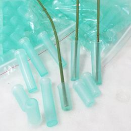 Decorative Flowers 100 PCS Flower Growing Vials Clear Vase Stem Floral Water Tube Bottle Straw