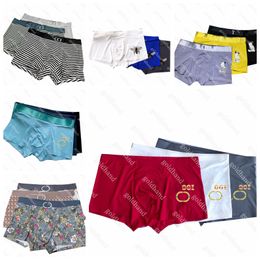 Sexy Mens Underwear Designer Underpants Luxury Brand Boxers Letter Printed Cotton Breathable Soft Underpants 3pce/Set