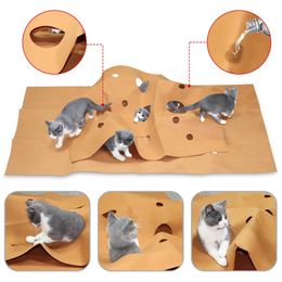 Repellents Cat Agility Training Cushion Kitten Bite Blanket Pad Elaborate Manufacture Prolonged Durable Felt Cloth Pet Play Mat