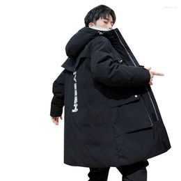 Men's Down Winter Jacket Style Korean-style Stylish Mid-length Cotton-padded Clothes Work