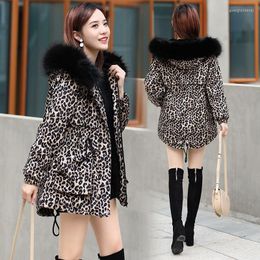 Women's Trench Coats Gold Velvet Parka Padded Jacket Women's Large Fur Collar Winter Women Mid-Length Plus Thick Leopard Female Coat