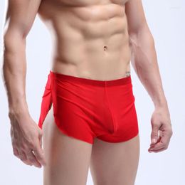 Underpants Sexy Mens Sheer See Through Boxer Briefs Underwear Mesh Shorts Trunks Elastic Waistband Track Pants Side Split