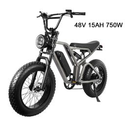 Electric Ebike 20inch Fat Ebike 48V 15AH Battery 750W Hub Motor Shimano 7 Speed Snow Beach ebike Electric Bicycle for Adult