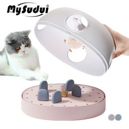 Toys 3 In 1 Pet Cat Toy Track Ball Plush Interactive Intelligence Toys For Cats Games Treat Puzzle Toy Amusing Training Katten Tunnel