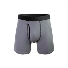 Underpants Long Leg Boxer Shorts Panties Men Homme Cotton Underwear For Boxershorts Sexy Calecon Male Brand M-3XL