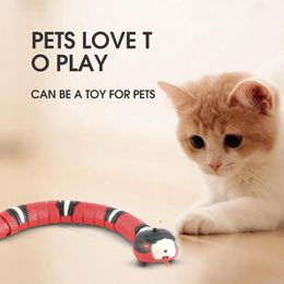 Toys Smart Induction Interactive Cat Toy Plastic Animal Model Simulation Pet Toies Electronic Snake USB Charging Kitty Accessories