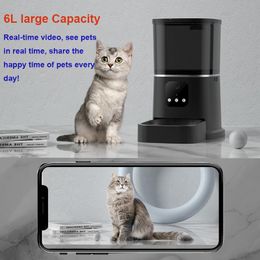 Feeding 6L Video Camera Feeder Timing Smart Automatic Pet Feeder For Cats Dogs WiFi Intelligent Food Dispenser With Voice Recorder
