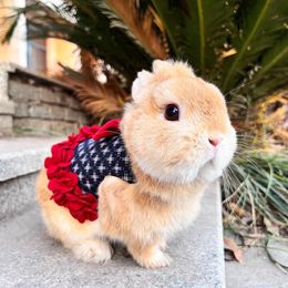 Supplies Rabbit Clothes Leash Bunny Petal Skirt Guinea Pig Cat Thermal Strap Lopeared Dwarf Rabbit Outing Accessories Pet Traction Rope