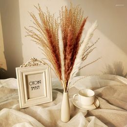 Decorative Flowers 15Pcs/lot Natural Rabbitail And Small Pampas Grass Bouquet European American Style Decorations Dried Reed Flore