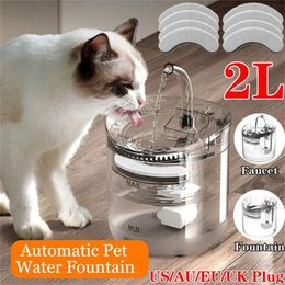 Supplies 2L Cat Water Fountain Filter Automatic Sensor Drinker For Cats Feeder Pet Water Dispenser Auto Drinking Fountain For Cats