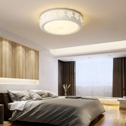 Ceiling Lights Warm Romantic Room Lighting Creative Personality Living Lamps Bedroom Round Simple Modern Small Led