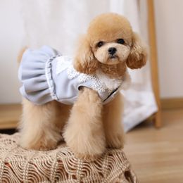 Dog Apparel Winter Dog Dress Cat Skirt Pomeranian Costume Small Dogs Apparel Chihuahua Bichon Yorkshire Schnauzer Poodle Terrier Clothing 230504