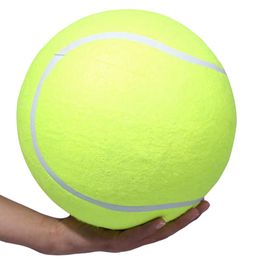 Toys Inflatable Tennis Interaction Play Dog Toys 24cm Large Ball Pet Toy Balloon