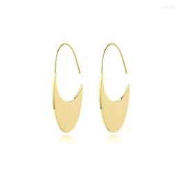 Dangle Earrings Aneebayh Minimalist Stainless Steel For Women Statement Irregular 18 K Plated Fashion Earring Jewelry