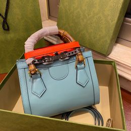 10A Top Quality Fashion Women Bags 20cm 655661 Designer Bags Shoulder Handbag Lady Crossbody Bag Diana Jumbo Mini Tote Bags Luxury Purses Light Blue Free Shipping