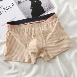 Underpants Men Cotton Striped Short Boxer Soft Breathable Briefs Elasticity Underwear Thin Shorts Pants Sexy Pouch Panty Intimates Lingerie