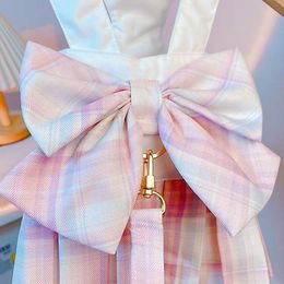 Dresses Fancy Dog Cat Clothes Bowknot Puppy Dress With Harness Leash For Small Dogs Luxury Pet Vest Lead Strap Chihuahua Pink Skirt