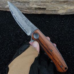 Messen KERZEMAN Outdoor Knife Wooden Handle Damascus Steel VG10 Blade Multifunctional EDC Tool Hunting SelfDefense Pocket Knife