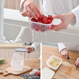 Storage Bottles Kitchen Ginger Garlic Box Green Onion Crisper Utensil Square Shape Refrigerator Containers Organiser