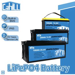 24V 100Ah LiFePO4 Battery Pack 12V 50Ah 200Ah Grade A Lithium Iron Phosphate Battery Built-in BMS For RV EV Van Golf Cart Camper