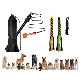 Toys Nonslip 1 Set Durable Dogs Interactive Flirt Pole Easy to Carry Funny Dog Pole Toy Light for Outdoor