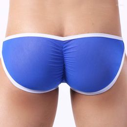 Underpants Summer Men Briefs Underwear Sexy Transparent Mesh Panties Low Waist Ultra-thin Large Penis Pouch Gay Lingerie Man