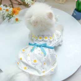 Dog Apparel Small Dog Dress Cat Skirt Cute Girl Dog Costume Apparel Yorkie Bichon Schnauzer Pomeranian Shih Tzu Chihuahua Yorkshire Clothing 230504