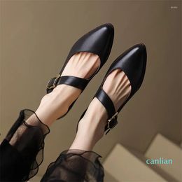 Dress Shoes Spring Women Pumps Natural Leather 22-24.5cm Length Cowhide Upper Thick Heel Vintage Brush Color Buckle Mary Jane
