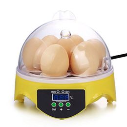 Supplies Mini 7 Egg Incubator Poultry Incubator Brooder Digital Temperature Control Egg Incubator Hatcher for Chicken Bird Egg Farm Tools