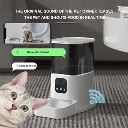 Feeding Video Version Timed Smart Pet Automatic Feeder Food WiFi Remote Control Quantitative Dispenser Dog Cat Food Container Cat Feeder