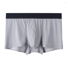 Underpants Summer Boxer Men Underwear Ice Silk Solid Sexy Mens Boxers Panties Cuecas Masculina U Pouch Male Boxershorts L-3XL