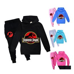 Clothing Sets Toddler Boys Set Spring Autumn Fashion Hoodies Tracksuit Jurassic Park Hooded Tshirt Suit Children Kid Girl Sweatshirt Dh6Il