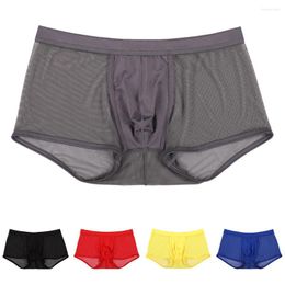 Underpants Men's Solid Underwear Boxer Shorts Mesh Breathable Panties Penis Bulge Pouch Transparent Flat Boxers Boy's