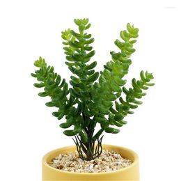 Decorative Flowers Simulated Succulent Plants Bonsai Jade Dragon Guanyin Without Flowerpot Natural Artificial Flower Holly Cactus