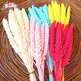 Decorative Flowers 10pcs Natural Wheat Spikes Dried Bouquet Grain Home Wedding Table Decoration Dry Plants Garden Decor Birthday Ornament