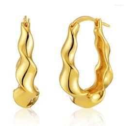 Hoop Earrings WKT-JFE103 Europe And The United States Creative Geometric Irregular Wavy Water Ripple Fashion Ins ACC