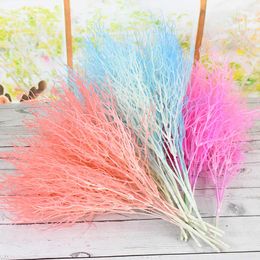 Decorative Flowers Natural Artificial Bulrush Dried Pampas Grass Decoration Eternell Buddha Dust Reed Wedding Party Home Decor Accessories