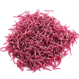 Baits Lures Soft Lure - HENGJIA 50pcs/bag 4cm / 8cm Artificial Earthworm Bait Lifelike Red Worms leurre souple pesca Fishing Tackle 230504