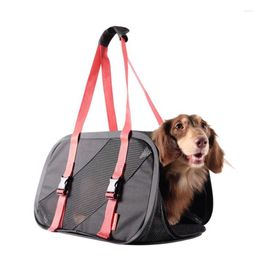 Cat Carriers Portable Foldable Dog Carrier Breathable Mesh Travel Cage Crossbody Tote Bag Convenient Handbag Pet Accessories