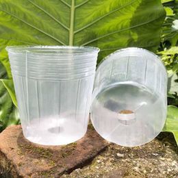 Planters 50PCS Transparent Seedling Cup Succulent Orchid Pot Nutrition Bag Bowl Flower