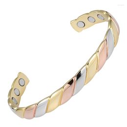 Bangle Twisted Vintage Antique Rose Gold Color Women Jewelry Powerful Magnetic For Men Gift Healing Charm Bracelet