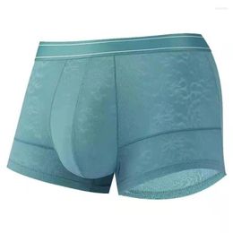 Underpants Sexy Men Underwear Boxers Shorts Transparent Ice Silk Panites Man Solid Breathable Pouch Underpant Cueca Calzoncillo Plus Size