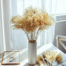 Decorative Flowers 25pcs/50pcs Gold Pampas Grass Natural Dried Wedding Marriage Decoration Party Home Dry Reed Plants