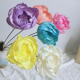 Decorative Flowers Non Fire Peony Tongcao Flower Handmade Iron Pole Home Room Dry Decoration Wedding Arrangement