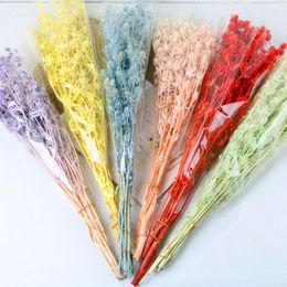 Decorative Flowers Lover Fruit Small Thorn Celery Dried Flower Factory Direct Hair Nordic Living Room Home Decoration Bouquet Diy Shooting