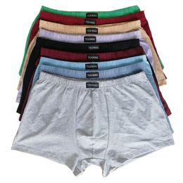 Underpants 100% cotton Big size underpants men's Boxers plus size large size shorts breathable cotton underwear 5XL 6XL 4pcslot 230506