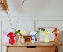 Vases Mushroom Bottle Hydroponics Clear Glass Flower Bud Vase Arrangement Living Home Desktop Decoration