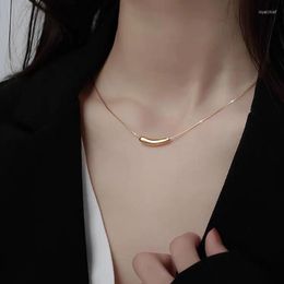 Chains LByzHan 2023 Trendy Small Eggplant Shape Pendant Golden Silver Colour Tube Necklace Metal Clavicle Chain Jewellery For Women